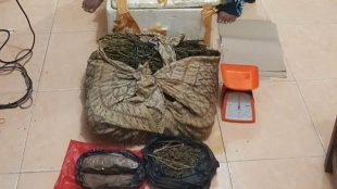 Ibu dan anak yang ditangkap oleh Sat Res Narkoba Langsa bersama dengan barang bukti berupa ganja 4kg (dok. KM)