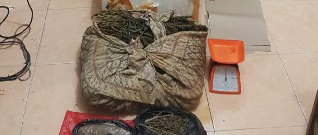 Ibu dan anak yang ditangkap oleh Sat Res Narkoba Langsa bersama dengan barang bukti berupa ganja 4kg (dok. KM)