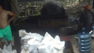 Pekerja sedang sibuk melakukan aktifitas menggoreng pasir timah di Pangkalpinang (dok. KM)