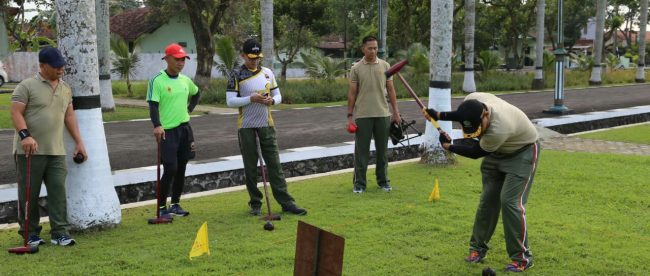 woodball korem wk