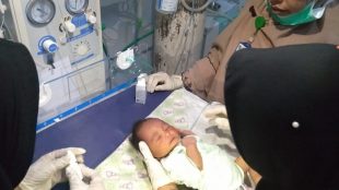 Bayi laki-laki yang ditemukan oleh mandor sawit di PT Timbang Langsa (dok. KM)