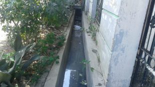 Kondisi saluran air yang tersumbat di Jalan Kusuma Timur Raya RT001/020 Perumahan Wisma Jaya Kelurahan Aren Jaya Bekasi Timur dok. KM)