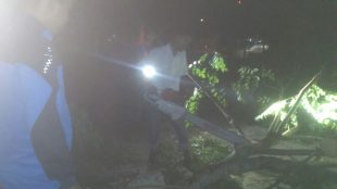 Tim Satgas BPBD Tanjungbalai dibantu Tim Reaksi Cepat (TGC) Himpipsos Tanjungbalai Mengevakuasi Pohon yang tumbang yang memutus akses jalan di Sei 2 Dalam (dok. KM)