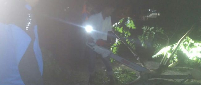Tim Satgas BPBD Tanjungbalai dibantu Tim Reaksi Cepat (TGC) Himpipsos Tanjungbalai Mengevakuasi Pohon yang tumbang yang memutus akses jalan di Sei 2 Dalam (dok. KM)