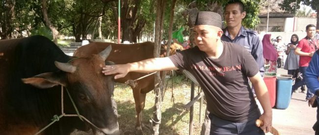 Walikota Pangkalpinang, Maulan Aklil di acara pemotongan hewan kurban di Rumdis Walikota, Senin 12/8/2019 (dok. KM)