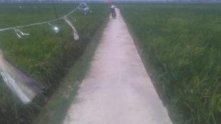 (dok. KM)