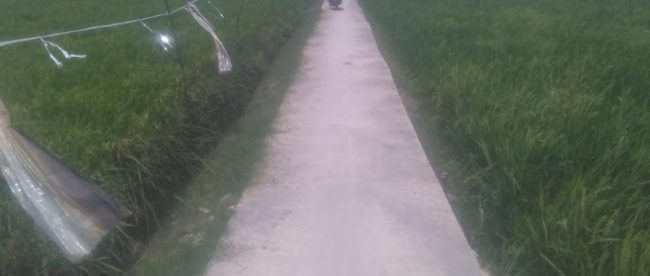 (dok. KM)
