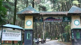 Wisata Alam Gunung Pancar, Kabupaten Bogor (dok. anekatrip.com)