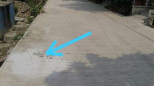 Pekerjaan betonisasi jaling di jl. Mangga V Rt018/18. Perumahan Regency 2 Kelurahan Wanasari Cibitung yang sudah di-coredrill (dok. KM)