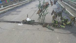 Kondisi Jembatan Pewayang Cipunagara-Cibogo, Subang (dok. KM)