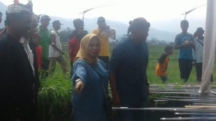 Festival Kolecer 2019 di Subang (dok. KM)