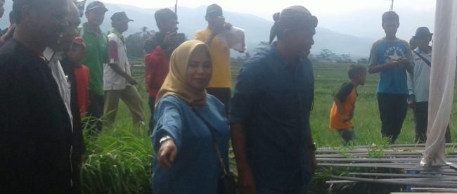 Festival Kolecer 2019 di Subang (dok. KM)