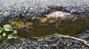 Pengaspalan jalan lingkungan di Desa Sirnagalih, Kecamatan Tamansari, Bogor (dok. KM)