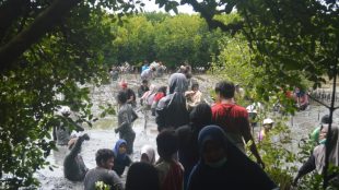 Kegiatan penanggulangan abrasi di Muara Gembong, Bekasi (dok. KM)