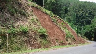 Kondisi jalan Subang-Sumedang di Desa Wargaluyu, Kecamatan Tanjungmedar, Kabupaten Sumedang (dok. KM)