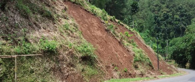 Kondisi jalan Subang-Sumedang di Desa Wargaluyu, Kecamatan Tanjungmedar, Kabupaten Sumedang (dok. KM)
