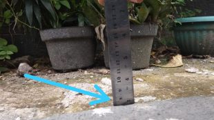 Ketebalan beton jaling di Kp. Kabandungan, Desa Sirnagalih, Tamansari, Bogor (dok. KM)