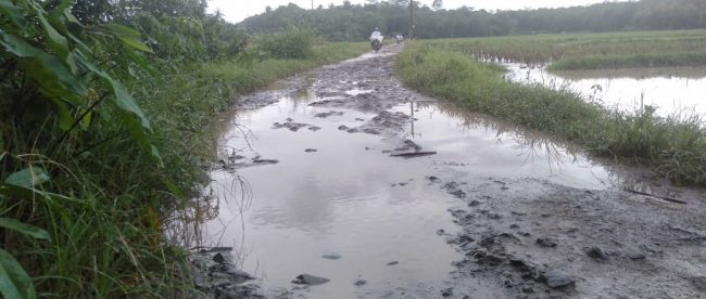 Jalan poros di Desa Wirana, Kecamatan Pamarayan, Serang (dok. KM)
