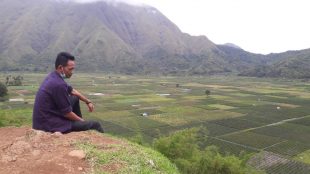 Mawardin