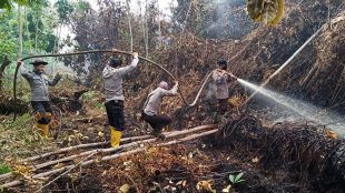 Aparat memadamkan kebakaran hutan (stock)