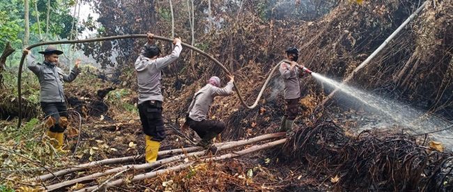 Aparat memadamkan kebakaran hutan (stock)