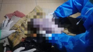 Jenazah bayi baru lahir yang ditemukan warga Kp. Situ Uncal, Desa Purwasari, Dramaga, Bogor (dok. KM)