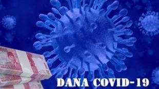 Ilustrasi (dok. seputarpapua.com)