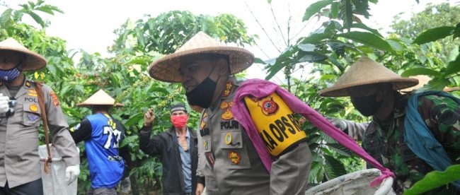 Kapolres Bogor AKBP Roland Ronaldy di kebun kopi di pelosok KEcamatan Sukamakmur, Kabupaten Bogor, Sabtu 6/6/2020 (dok. KM)