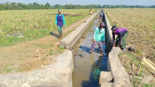 Petani di Desa Jatimulya turut memperbaiki saluran irigasi (dok. KM)