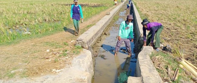 Petani di Desa Jatimulya turut memperbaiki saluran irigasi (dok. KM)