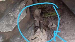 Besi coran gorong-gorong yang tidak tertanam di depan gedung KPU Provinsi Jambi (dok. KM)