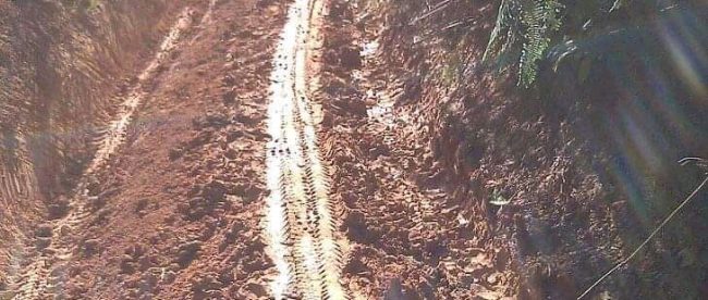 Kondisi jalan sentra produksi sepanjang 5 km yang dilalui oleh warga Desa Gelumbang dan desa Kemang Manis, Bengkulu Selatan (dok. KM)