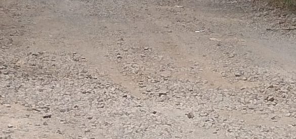 Ruas jalan Kecamatan Pagaden-Binong, Kabupaten Subang menuju Desa Kihiyang (dok. KM)