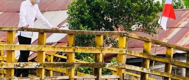 Presiden didampingi sejumlah menteri dan Gubernur Kalteng saat meninjau jaringan irigasi dan reklamasi rawa, di Kabupaten Pulang Pisau, Kamis 9/7/2020 (dok. Setpres)
