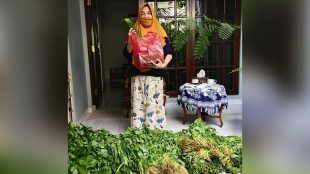 Siti Khadijah saat menunjukkan sayuran yang diterima dari pedagang Pasar Cisalak (dok. KM)