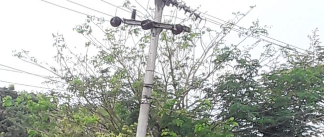 Tiang listrik yang perlu diperbaiki di Desa Cidahu, Kecamatan Pagaden Barat, Subang (dok. KM)