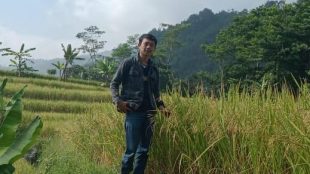 Koordinator Saung Agria Ciasihan, Kang Uning (dok. KM)