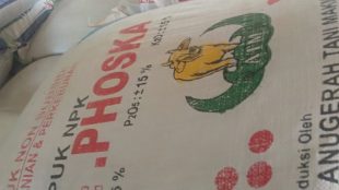Pupuk non subsidi yang diduga ilegal di Subang (dok. KM)