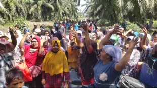 Aksi unjuk rasa warga Tanjung Pangkal, Kecamatan Pasaman, Kabupaten Pasaman Barat, di lahan sengketa dengan PT. GMP, Agustus 2020 (dok. KM)