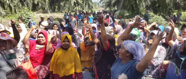Aksi unjuk rasa warga Tanjung Pangkal, Kecamatan Pasaman, Kabupaten Pasaman Barat, di lahan sengketa dengan PT. GMP, Agustus 2020 (dok. KM)