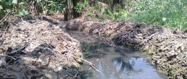 Saluran air yang tercemar limbah kotoran ayam dari industri peternakan milik PT. Malindo di Pamarayan, Serang, Banten (dok. KM)