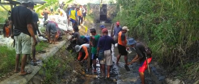 Masyarakat bergotong royong memperbaiki bendungan irigasi yang jebol, Sabtu 29/8/2020 (dok. KM)