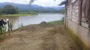 (dok. KM)