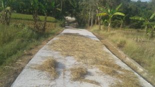 Pekerjaan cor jalan di RT 01/01 Desa Caracas, Kecamatan Kalijati, Subang (dok. KM)