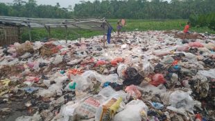 Sampah dari Pasar Pamarayan yang menumpuk di Kali Ciujung, Serang (dok. KM)