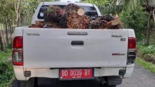 Fasilitas negara yang di duga di salah gunakan mengangkut TBS