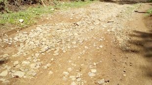 Ruas Jalan Cirangkong-Bantarsari Kec.Cijambe Subang
