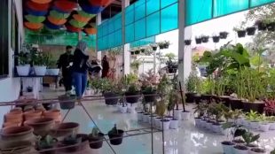 Botani Mart Jalan Raya Dramaga Bogor Barat Kabupaten Bogor (dok. KM)