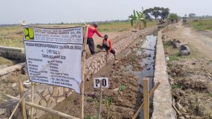 Saluran irigasi di blok gadis Desa Cicadas, Kec. Binong, Subang (dok. KM)