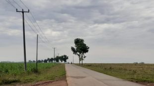 Kondisi jalan alternatif Kecamatan Purwadadi-Kecamatan Ciasem, Subang (dok. KM)